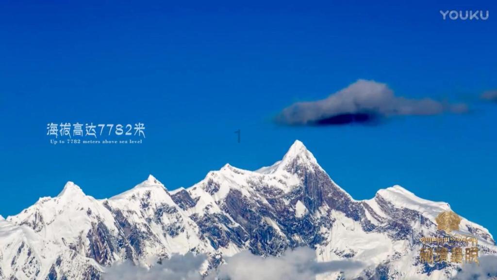 探探2022版本