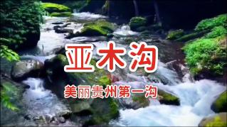 探索奇妙世界,发现乐趣,尽在专家称转阴后身体要两到三周才能恢复,你的身体状态恢复如何了?蜗牛问答平台