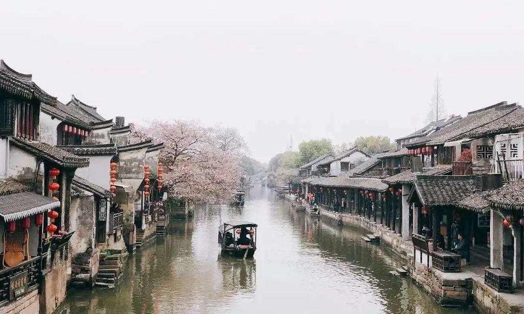 动物帮帮忙保卫家园